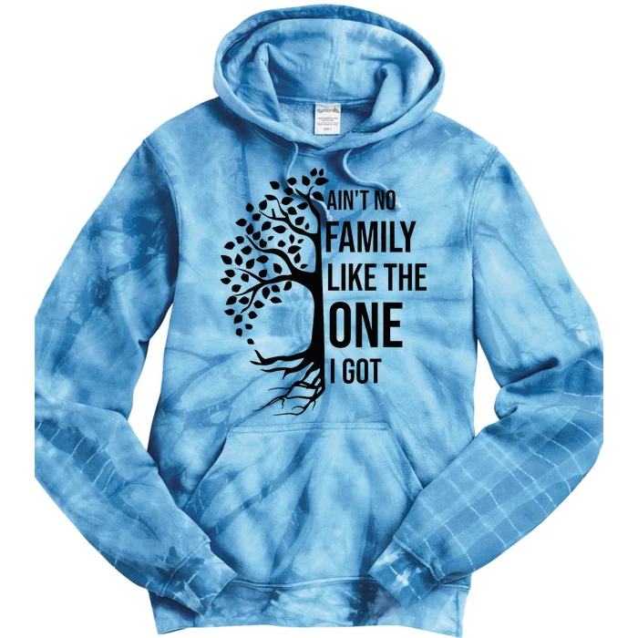 AinT No Family Like The One I Got Funny Family Reunion 2024 Tie Dye Hoodie