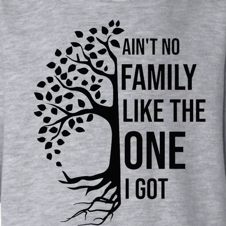 AinT No Family Like The One I Got Funny Family Reunion 2024 Toddler Hoodie