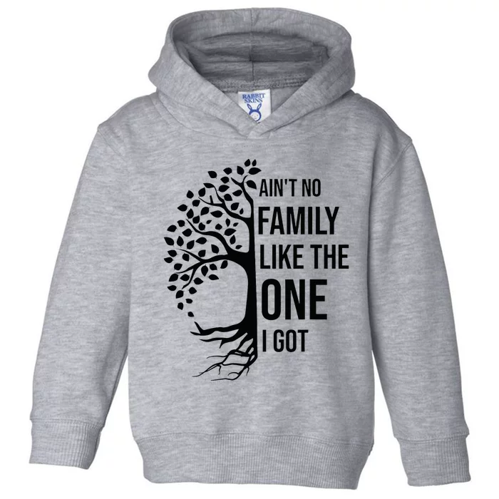 AinT No Family Like The One I Got Funny Family Reunion 2024 Toddler Hoodie