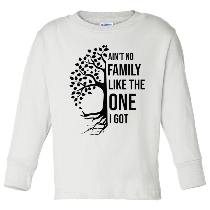 AinT No Family Like The One I Got Funny Family Reunion 2024 Toddler Long Sleeve Shirt