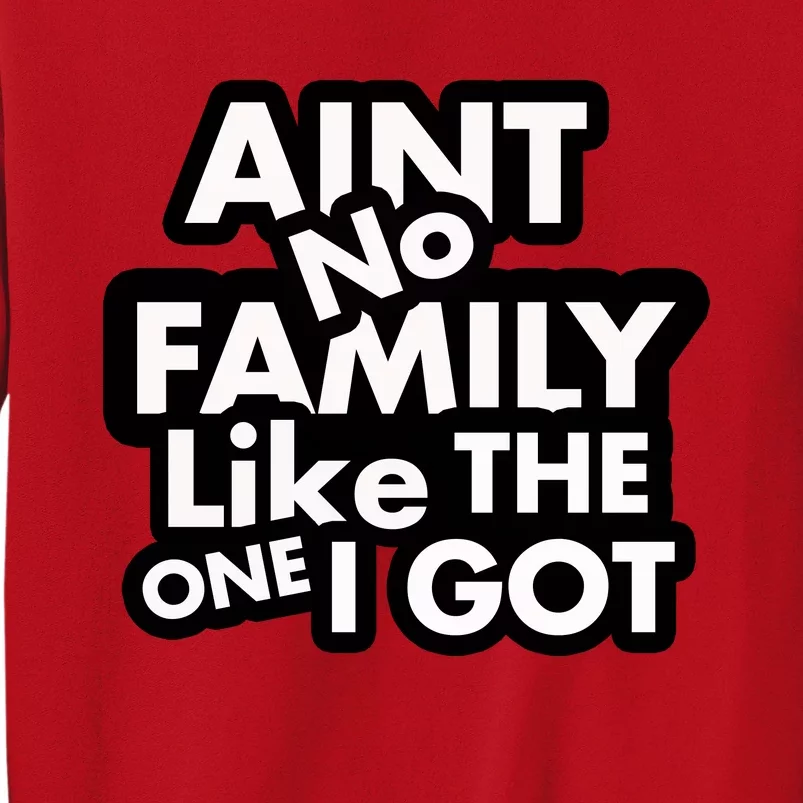 Ain't No Family Like The One I Got Sweatshirt