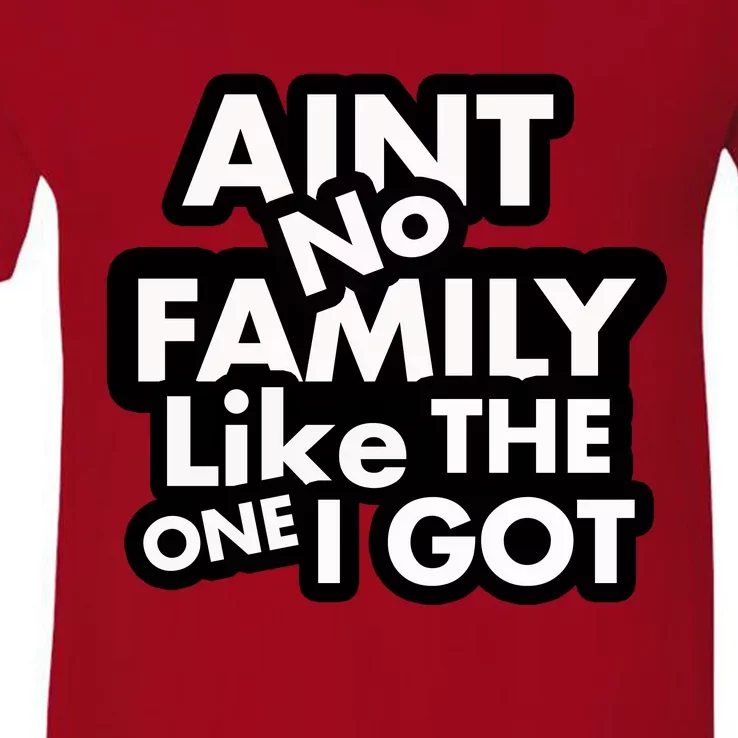 Ain't No Family Like The One I Got V-Neck T-Shirt