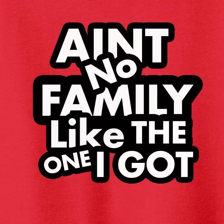 Ain't No Family Like The One I Got Toddler T-Shirt