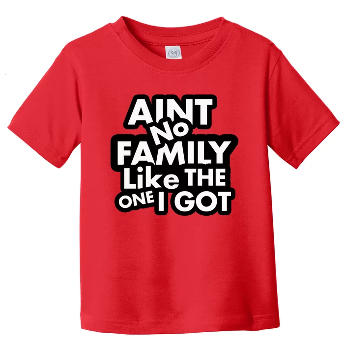 Ain't No Family Like The One I Got Toddler T-Shirt