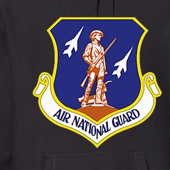 Air National Guard Military Veteran Patriotic Premium Hoodie