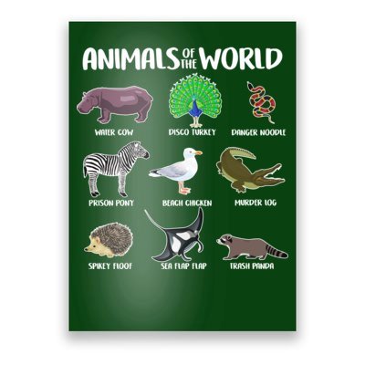 Animals Names Posters | TeeShirtPalace