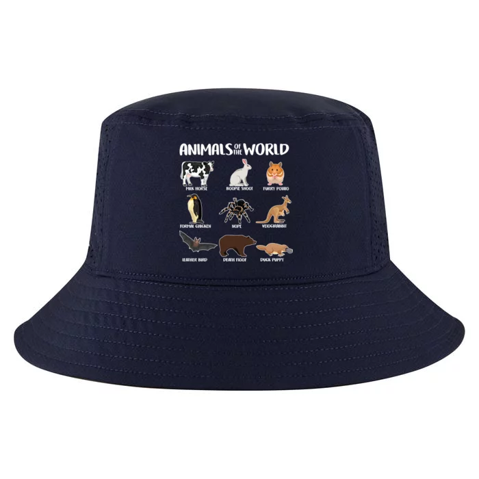 Animals Of The World Funny Names Cool Comfort Performance Bucket Hat