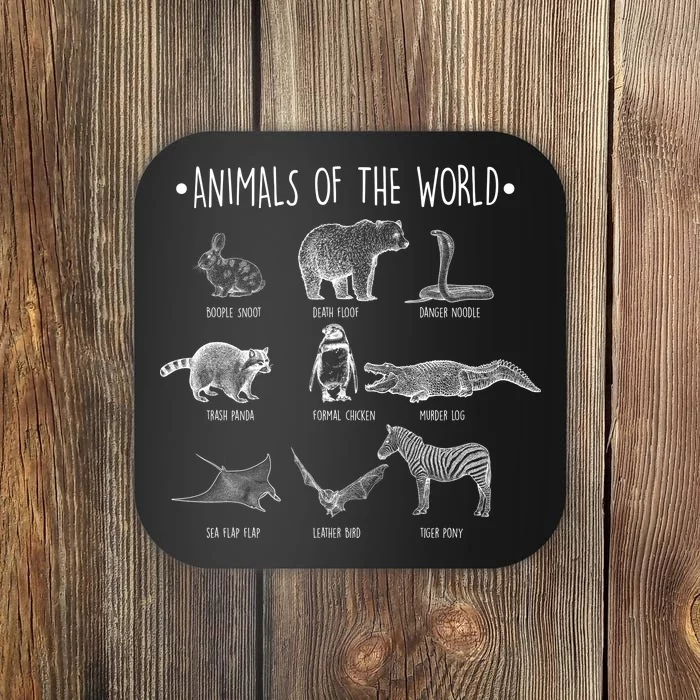 Animals Of the World Funny Wildlife Coaster