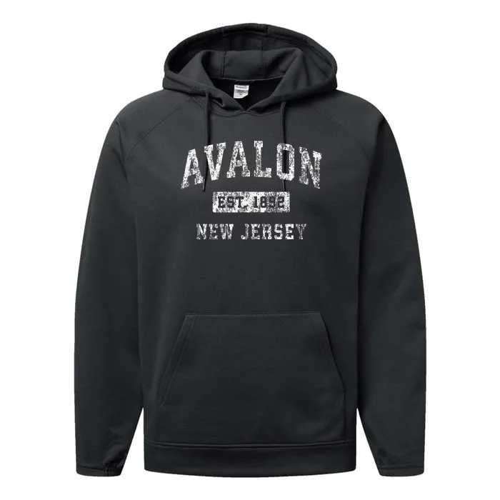 Avalon New Jersey Nj Vintage Established Performance Fleece Hoodie