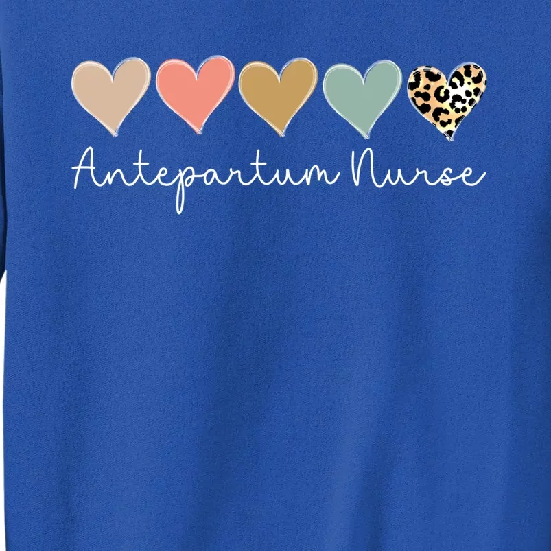 Antepartum Nurse Leopard Heart Valentines Day Nursing Gift Tall Sweatshirt