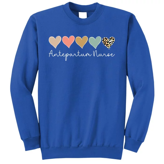 Antepartum Nurse Leopard Heart Valentines Day Nursing Gift Tall Sweatshirt