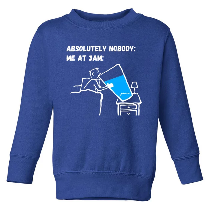 Absolutely Nobody Me At 3am Funny Meme Gift Toddler Sweatshirt