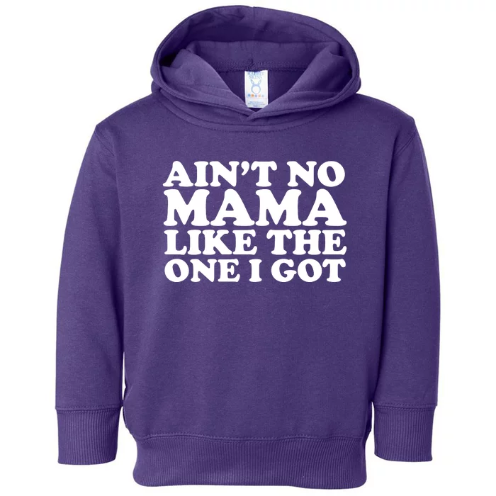 Ain't No Mama Like The One I Got Toddler Hoodie