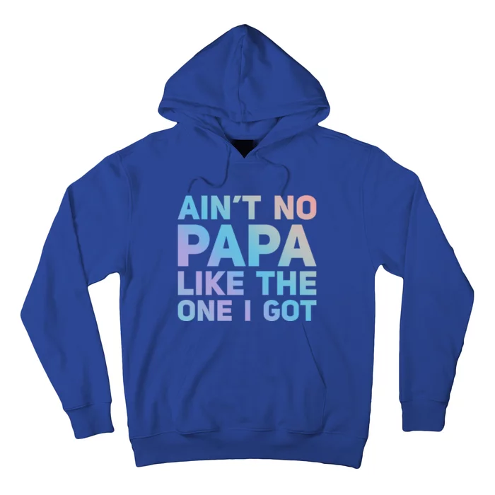 Aint No Papa Like The One I Got Fathers Day Cool Dad Daddy Gift Hoodie