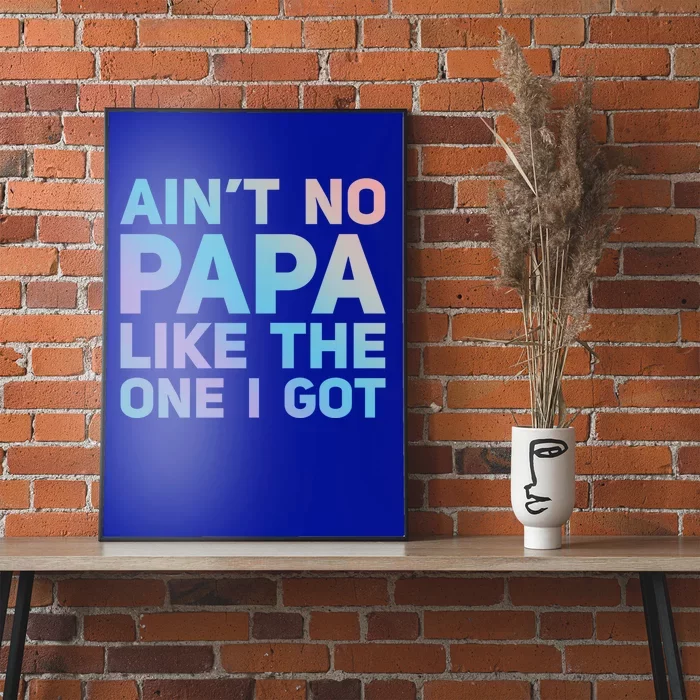 Aint No Papa Like The One I Got Fathers Day Cool Dad Daddy Gift Poster