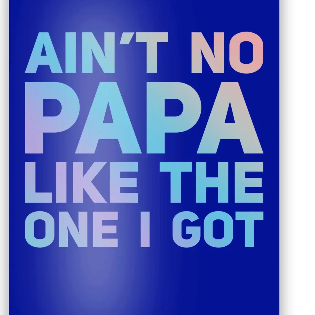 Aint No Papa Like The One I Got Fathers Day Cool Dad Daddy Gift Poster