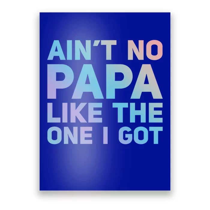 Aint No Papa Like The One I Got Fathers Day Cool Dad Daddy Gift Poster