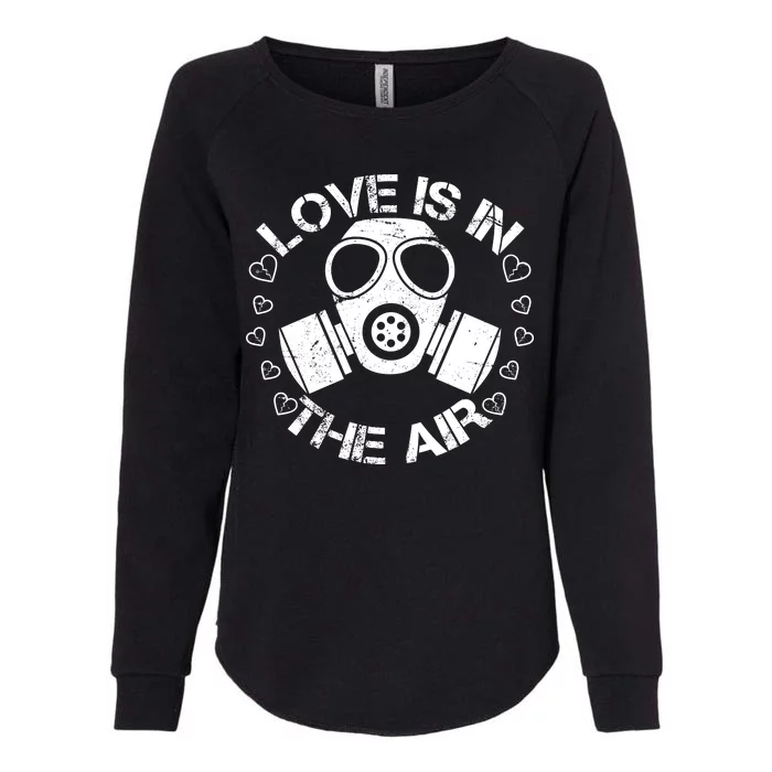 Anti-Valentine Love Is In The Air Womens California Wash Sweatshirt