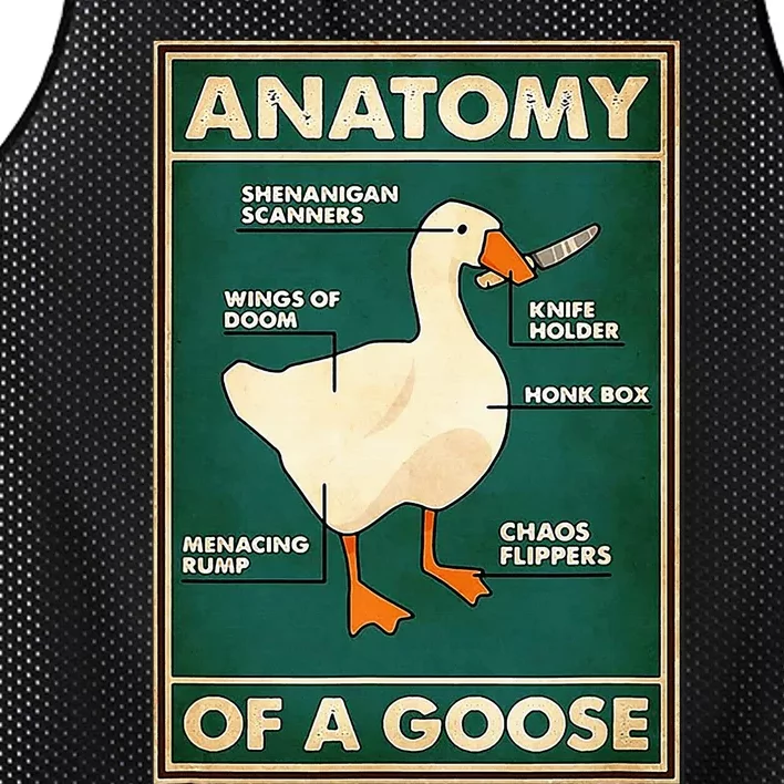 Anatomy Of A Goose With Knife Mesh Reversible Basketball Jersey Tank