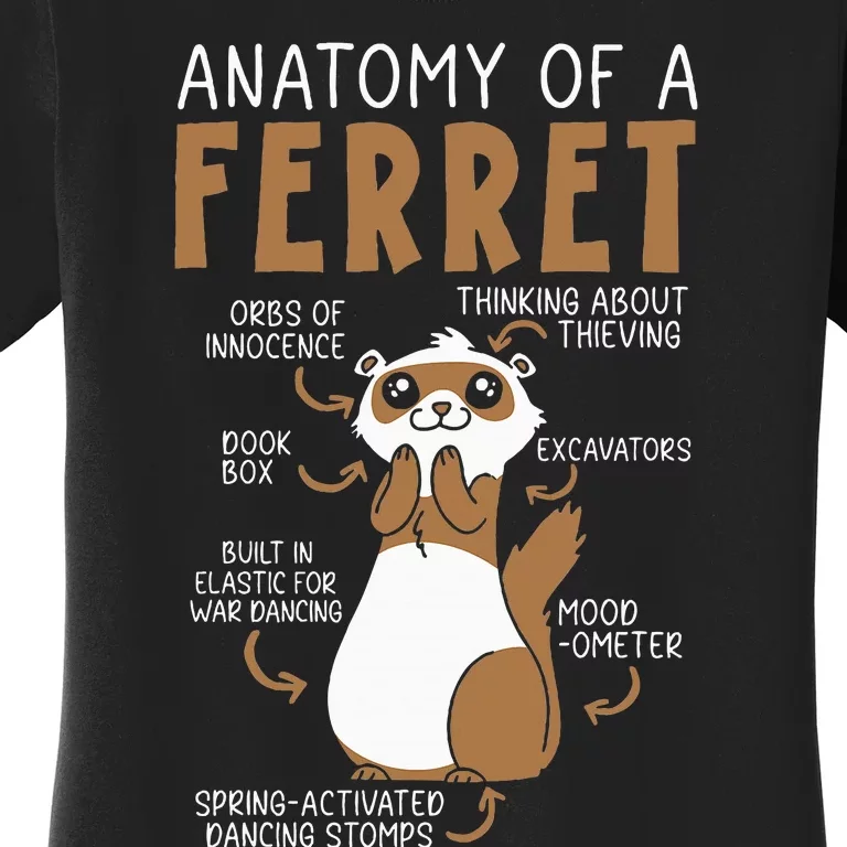 Anatomy Of A Ferret Lover Wildlife Animal Ferret Owner Women's T-Shirt