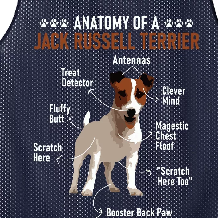 Anatomy Of A Jack Russell Terrier Dog Owner Animal Lover Mesh Reversible Basketball Jersey Tank