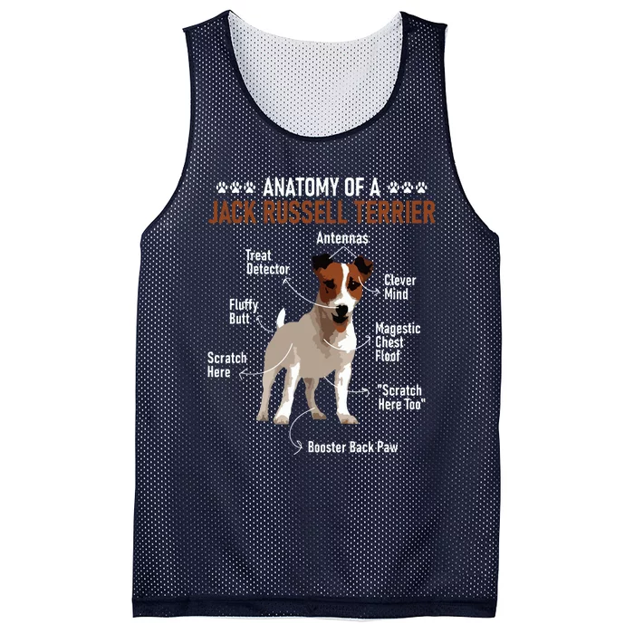 Anatomy Of A Jack Russell Terrier Dog Owner Animal Lover Mesh Reversible Basketball Jersey Tank