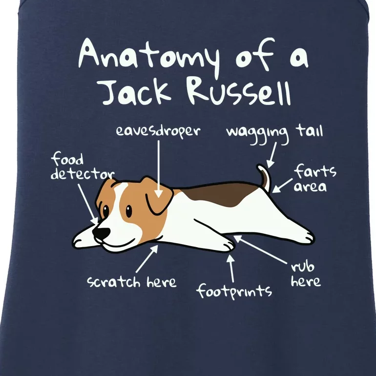 Anatomy Of A Jack Russell Terrier Funny Dog Gift Ladies Essential Tank