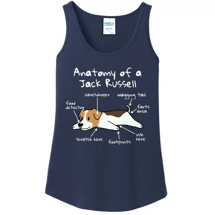 Anatomy Of A Jack Russell Terrier Funny Dog Gift Ladies Essential Tank