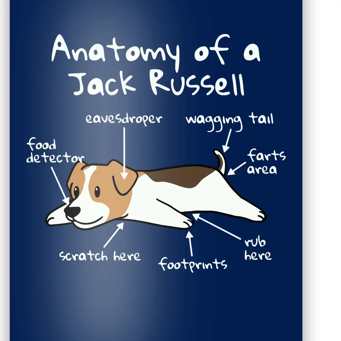 Anatomy Of A Jack Russell Terrier Funny Dog Gift Poster