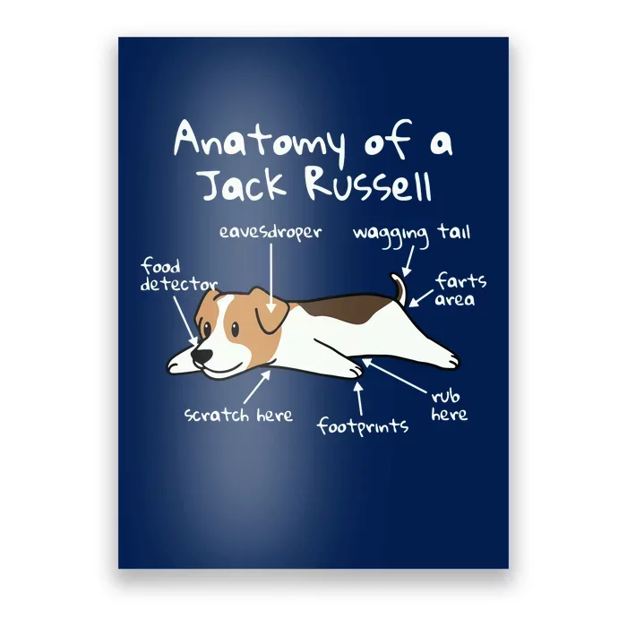 Anatomy Of A Jack Russell Terrier Funny Dog Gift Poster