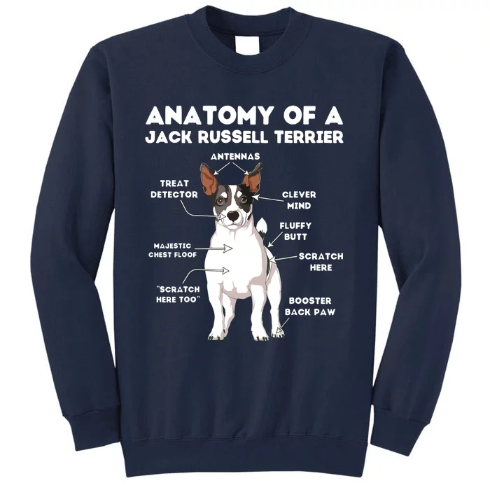 Anatomy Of A Jack Russell Terrier Tall Sweatshirt