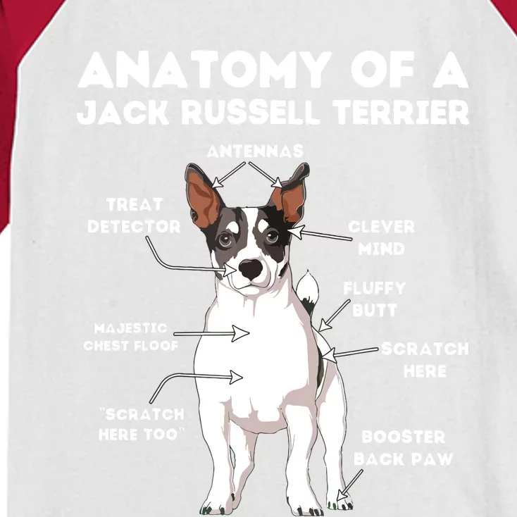 Anatomy Of A Jack Russell Terrier Kids Colorblock Raglan Jersey