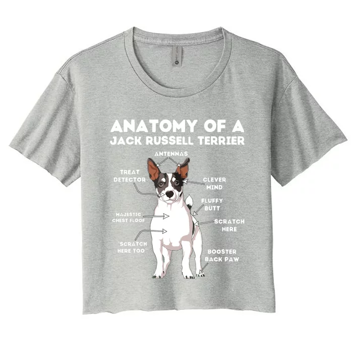 Anatomy Of A Jack Russell Terrier Women's Crop Top Tee