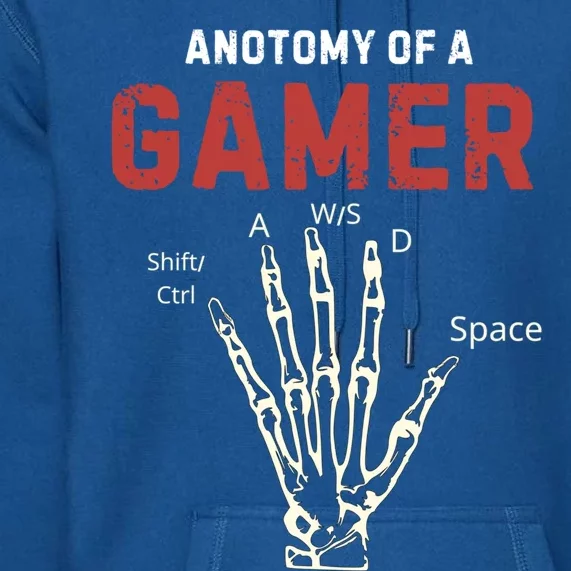 Anatomy Of A Gamer Funny Gaming Gift For Game Lovers Meaningful Gift Premium Hoodie