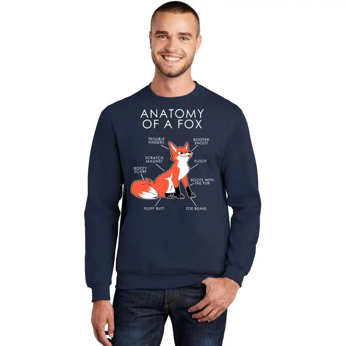 Anatomy Of A Fox Tall Sweatshirt