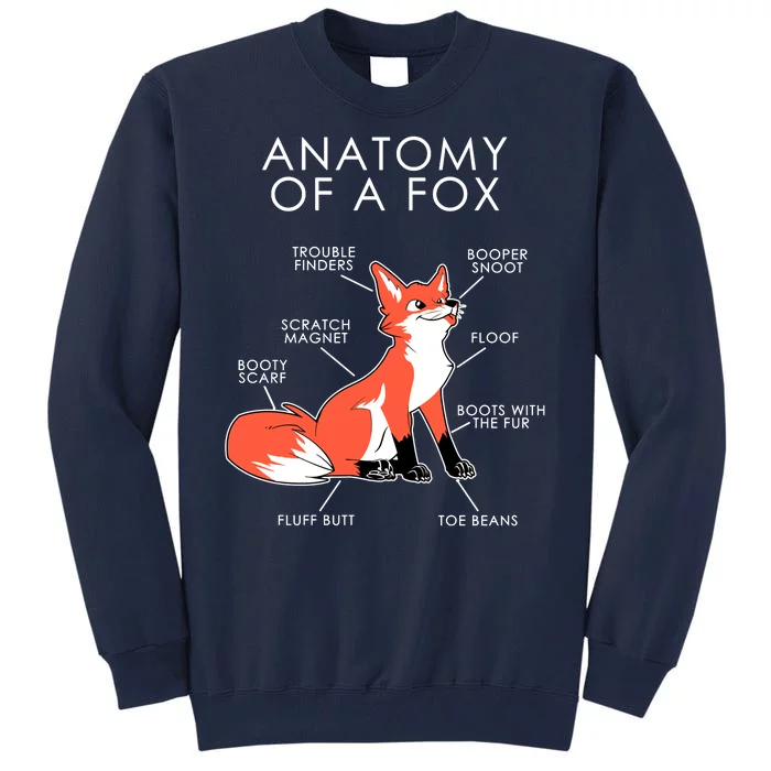 Anatomy Of A Fox Tall Sweatshirt