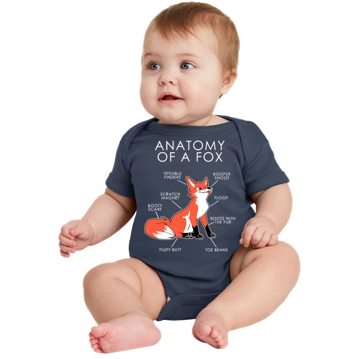 Anatomy Of A Fox Baby Bodysuit