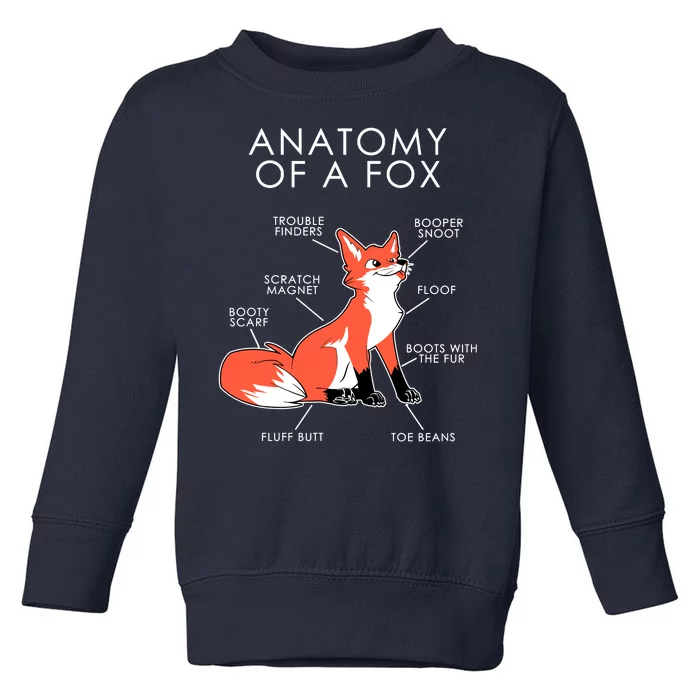 Anatomy Of A Fox Toddler Sweatshirt