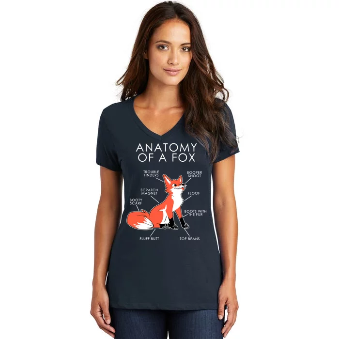 Anatomy Of A Fox Women's V-Neck T-Shirt