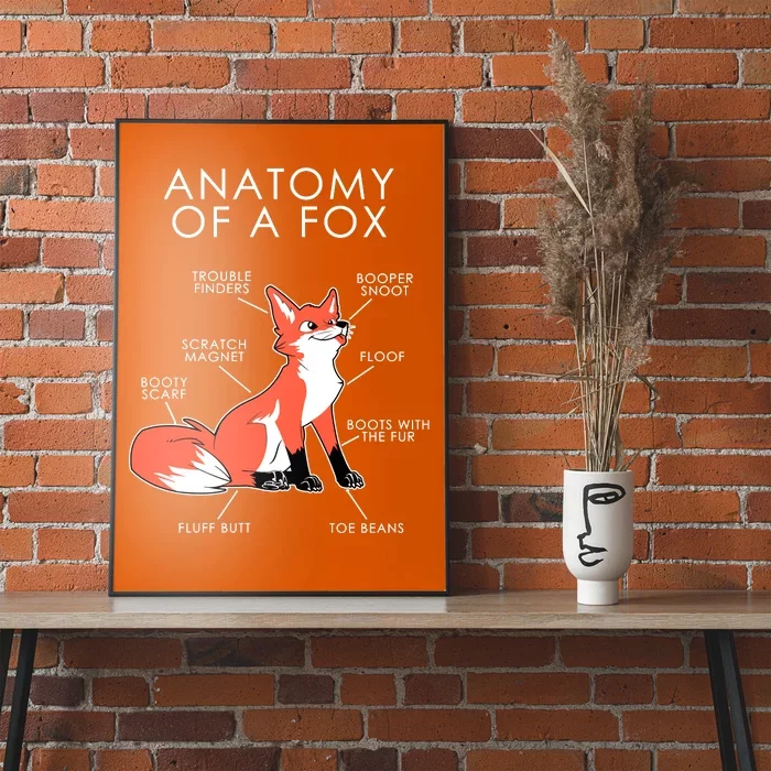 Anatomy Of A Fox Poster