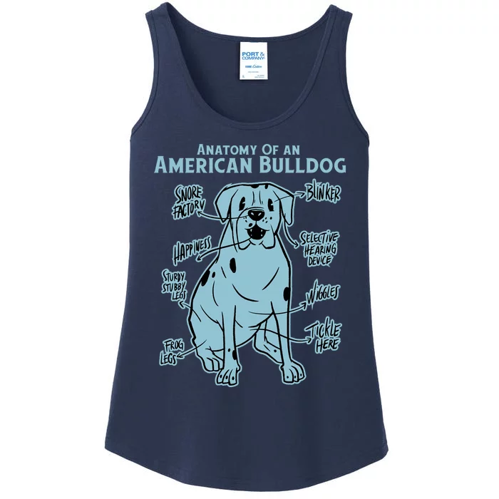 Anatomy Of An American Bulldog Ladies Essential Tank