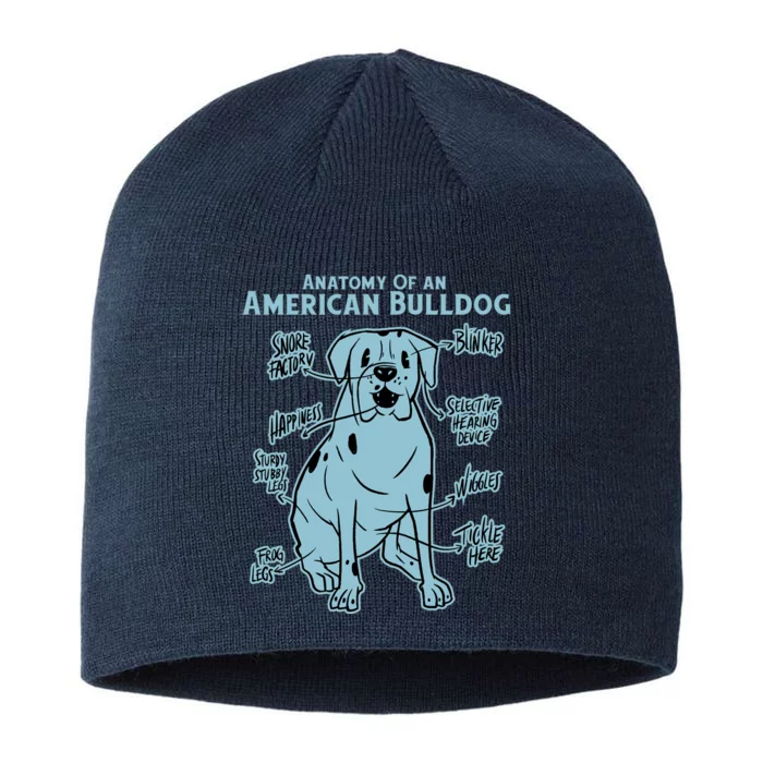 Anatomy Of An American Bulldog 8 1/2in Sustainable Knit Beanie