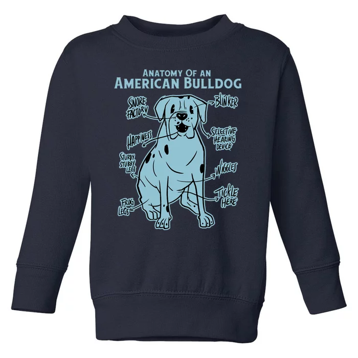 Anatomy Of An American Bulldog Toddler Sweatshirt