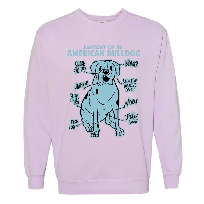 Anatomy Of An American Bulldog Garment-Dyed Sweatshirt