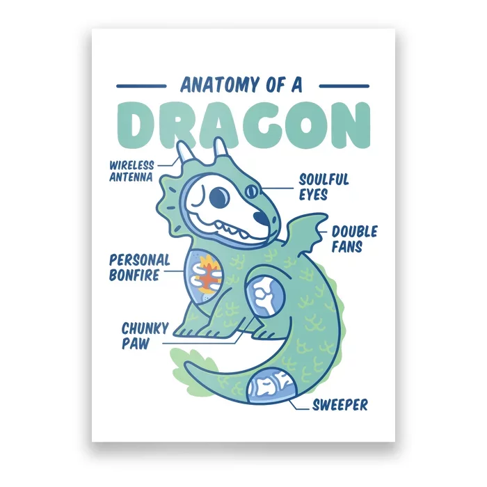 Anatomy Of A Dragon Poster