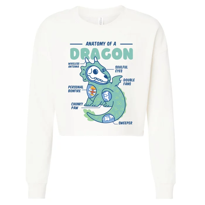 Anatomy Of A Dragon Cropped Pullover Crew