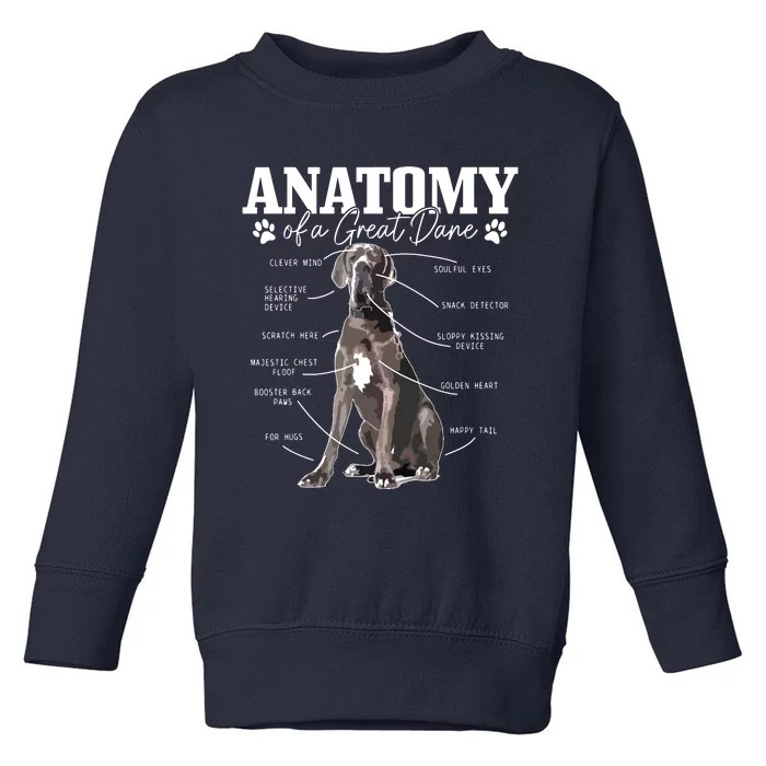 Anatomy Of A Great Dane Funny Cute Dog Mom Dad Toddler Sweatshirt