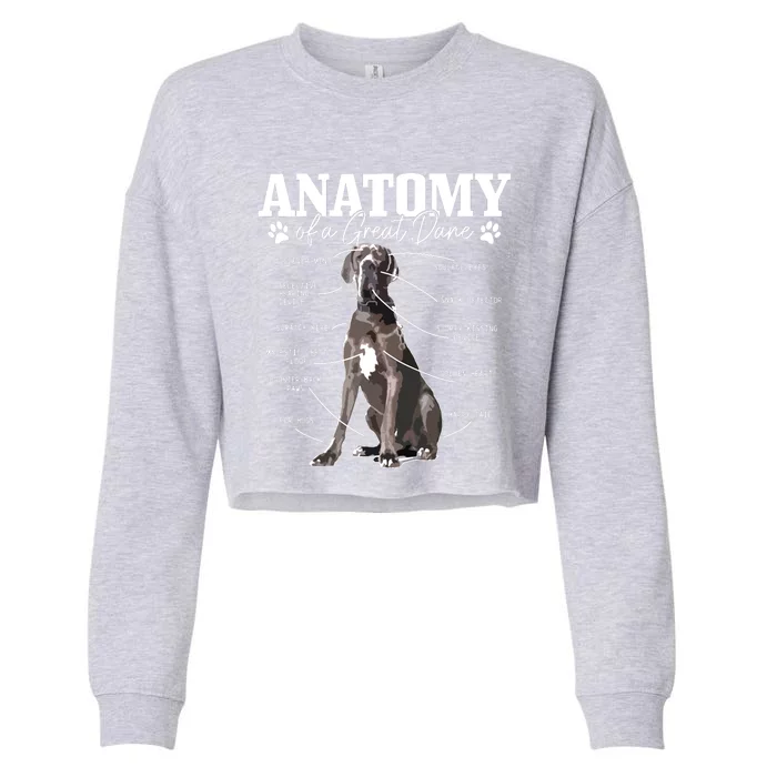 Anatomy Of A Great Dane Funny Cute Dog Mom Dad Cropped Pullover Crew