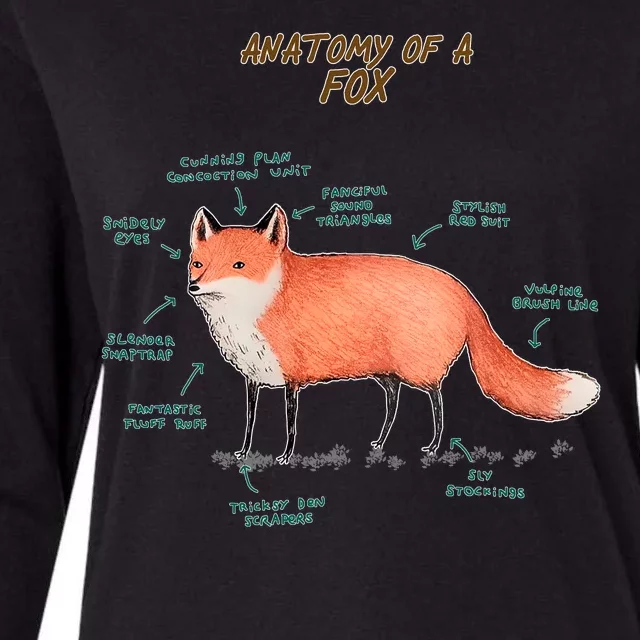 Anatomy Of A Fox Funny Cute Womens Cotton Relaxed Long Sleeve T-Shirt