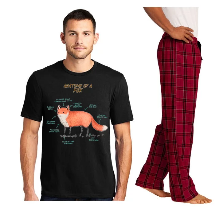 Anatomy Of A Fox Funny Cute Pajama Set